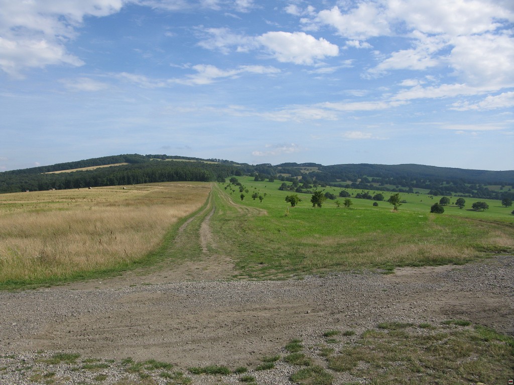 img00291.jpg