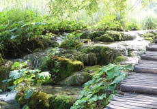 Plitvická jezera - jezero Kaluderovac