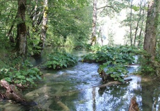 Plitvická jezera - jezero Galovac