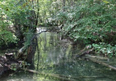 Plitvická jezera - jezero Galovac