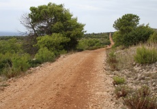 Chorvatsko, Vir - nejvyšší vrchol Bandira 112 m.n.m.