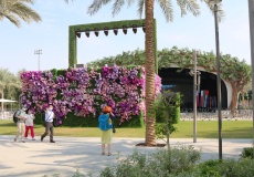 Dubaj EXPO, Millennium Amphitheatre