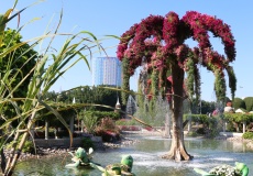 Dubaj Miracle Garden