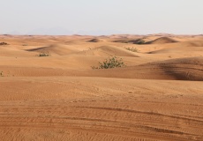 Dubaj, výlet do pouště