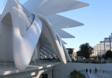 Dubaj EXPO, pavilon Spojené arabské emiráty