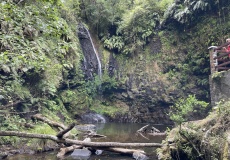 Madagaskar, národní park Montagne d'Ambre