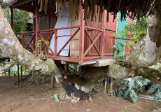 Madagaskar, Joffreville, restaurace Relai de la Montagne d'Ambre