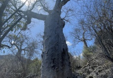 Madagaskar, křížová cesta na Fort Anosiravo