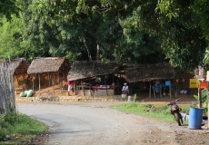 Madagaskar, cesta z Ankify do Ambanja