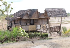 Madagaskar, cesta z Ankify do Ambanja