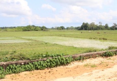 Madagaskar, cestou z Ambanja do Ambilobe