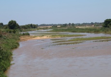 Madagaskar, cestou z Ambanja do Ambilobe