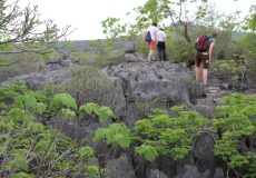 Madagaskar, národní park Ankarana