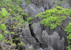 Madagaskar, národní park Ankarana