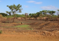 Madagaskar, cestou z Ankarana do Anivorano