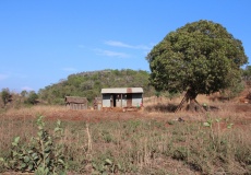 Madagaskar, cestou z Ankarana do Anivorano