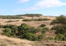 Madagaskar, cestou z Ankarana do Anivorano