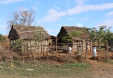 Madagaskar, cestou z Ankarana do Anivorano