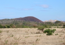 Madagaskar, cestou z Ankarana do Anivorano