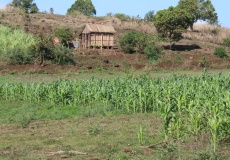 Madagaskar, cestou z Ankarana do Anivorano