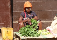 Madagaskar, cesta z Anivorano do Sadjoavato