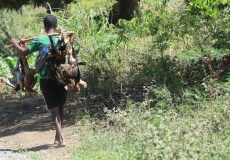 Madagaskar, cesta z Anivorano do Sadjoavato