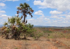 Madagaskar, Tsingy Rouge