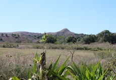 Madagaskar, cestou do NP Montagne d'Ambre