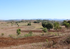 Madagaskar, cestou do NP Montagne d'Ambre