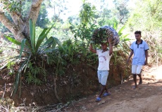 Madagaskar, cestou do NP Montagne d'Ambre