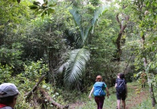 Madagaskar, národní park Montagne d'Ambre