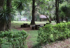 Madagaskar, národní park Montagne d'Ambre