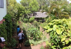 Madagaskar, Joffreville, restaurace Relai de la Montagne d'Ambre