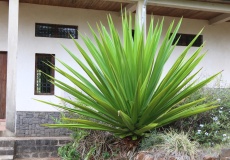 Madagaskar, Joffreville, Pentecostal Church of God