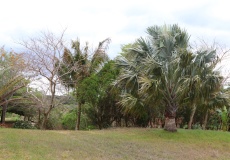 Madagaskar, Joffreville, Pentecostal Church of God