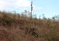 Madagaskar, Sakaramy, škola