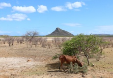 Madagaskar, křížová cesta na Fort Anosiravo