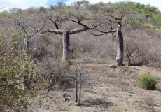 Madagaskar, křížová cesta na Fort Anosiravo