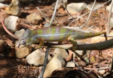 Madagaskar, křížová cesta na Fort Anosiravo