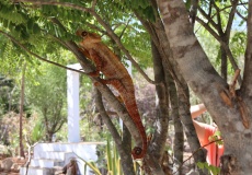 Madagaskar, křížová cesta na Fort Anosiravo