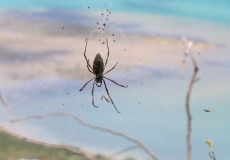 Madagaskar, křížová cesta na Fort Anosiravo