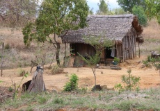 Madagaskar, cestou do Ambaja