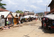 Madagaskar, cestou do Ambaja