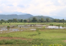 Madagaskar, cestou do Ambaja