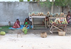 Madagaskar, cestou do Ambanja