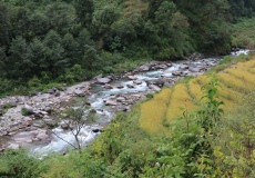 Z Birethanti do Tikhe Dhunga, podél řeky Bhurungdi