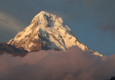 Ghorepani, večerní Annapurna Jih (7219 m n.m.)