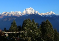 Scházíme z Poon Hill, Dhaulagiri (8167 m n.m.)