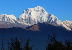Cestou dolů z Poon Hill stále sledujeme Dhaulagiri