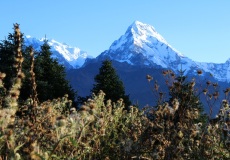 Jdeme dolů z Poon Hill, Annapurny